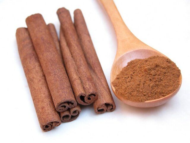korica
